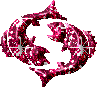 poisson